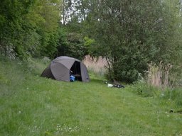 Competities HSV Alfheim